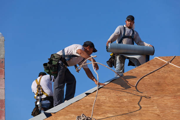 Best Roof Maintenance Services  in Davisboro, GA