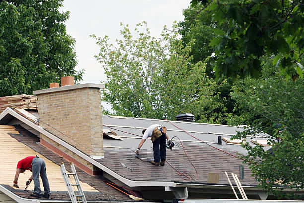 Best Roof Gutter Cleaning  in Davisboro, GA